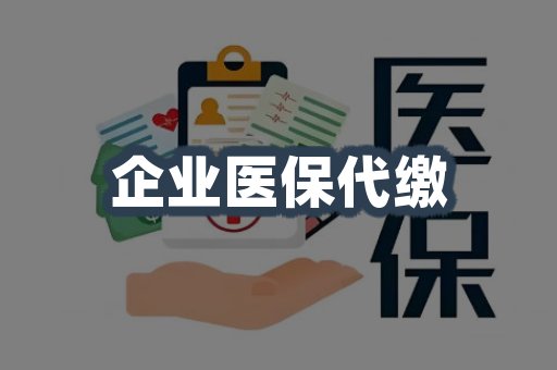 企业医保代缴